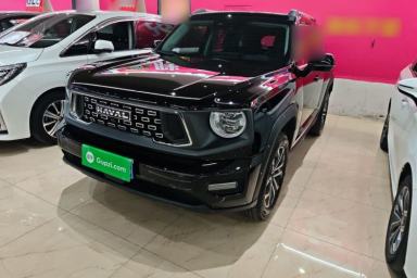 Used Haval H Dog 2023 2.0T Two-Wheel Drive Chaoye Version Plus