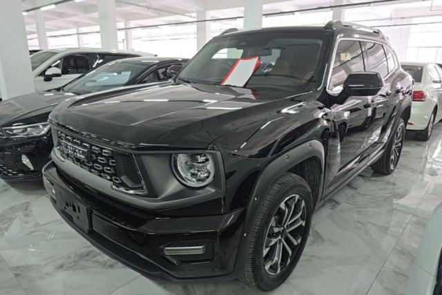 Used Haval H Dog 2023 1.5T Two-Wheel Drive Chao Ye Version Plus