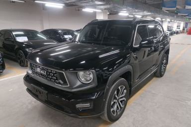 Used Haval H Dog 2023 2.0T All-Wheel-Drive Chaoye Plus