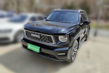 Used Haval H Dog 2023 2.0T Two-Wheel Drive Chaoye Version Plus
