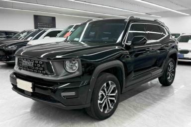 Used Haval H Dog 2023 2.0T Two-Wheel Drive Chaoye Version Plus