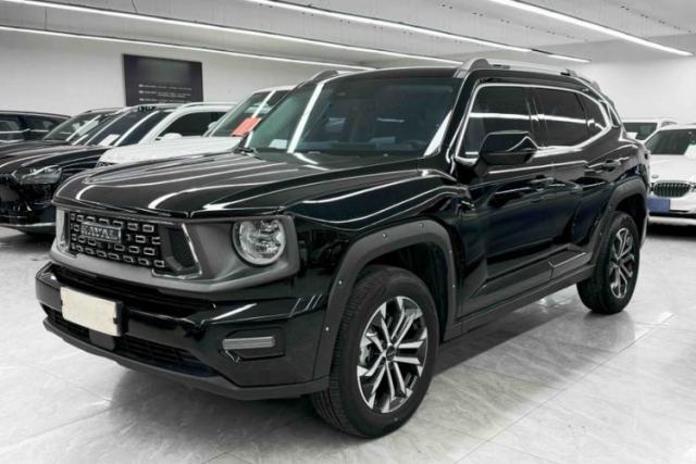 Used Haval H Dog 2023 2.0T Two-Wheel Drive Chaoye Version Plus