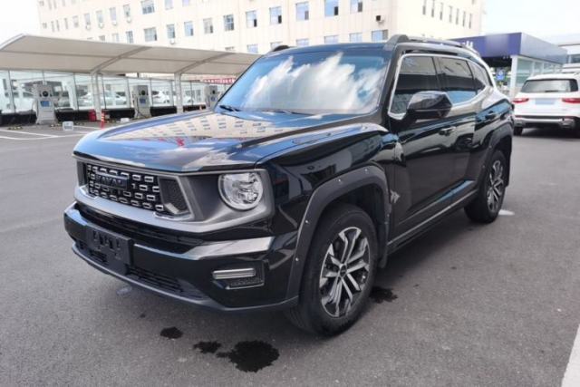 Used Haval H Dog 2023 2.0T Two-Wheel Drive Chaoye Version Plus