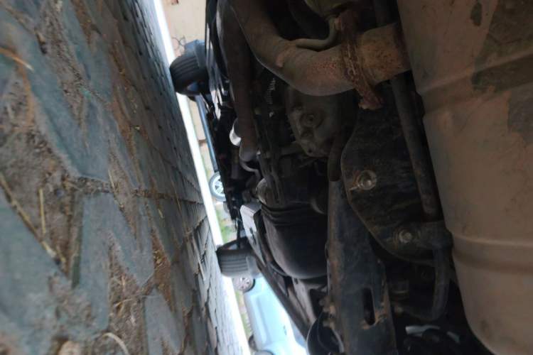 Used Haval H Dog 2023 2.0T All-Wheel-Drive Chaoye Plus Chassis Rear