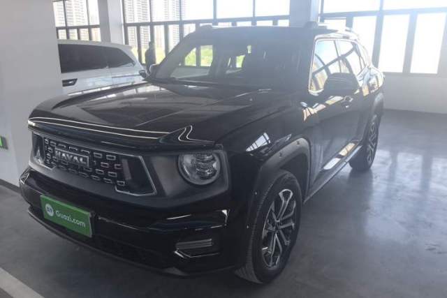 Used Haval H Dog 2023 1.5T Two-Wheel Drive Chao Ye Version Plus