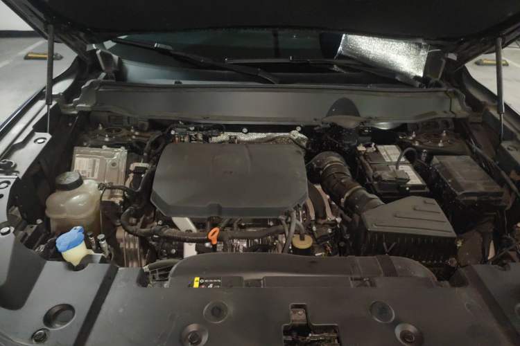 Used Haval H Dog 2023 2.0T All-Wheel-Drive Chaoye Plus Engine Bay