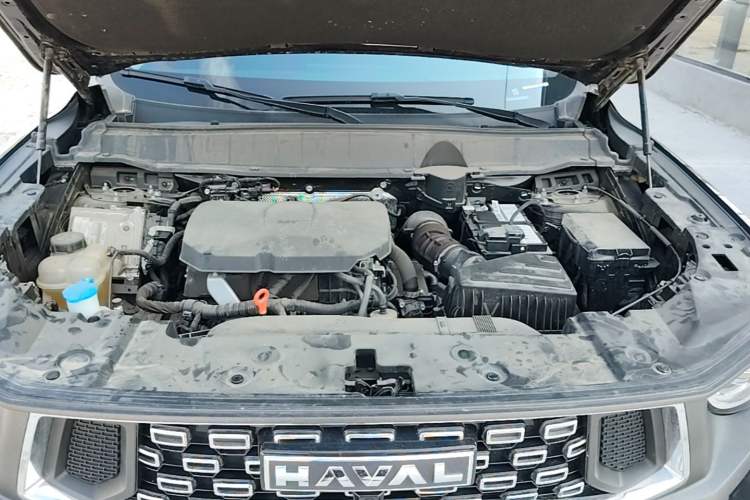 Used Haval H Dog 2023 2.0T Two-Wheel Drive Chaoye Version Plus Engine Bay