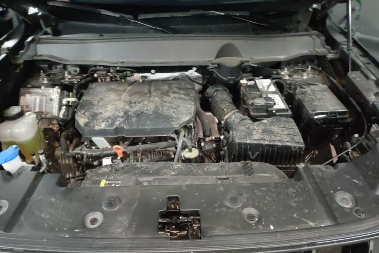 Used Haval H Dog 2023 2.0T All-Wheel-Drive Chaoye Plus Engine Bay