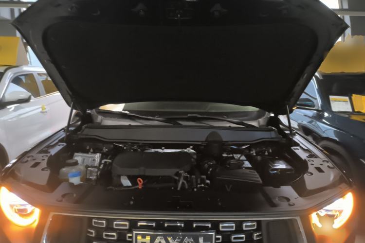 Used Haval H Dog 2023 2.0T All-Wheel-Drive Chaoye Plus Engine Bay