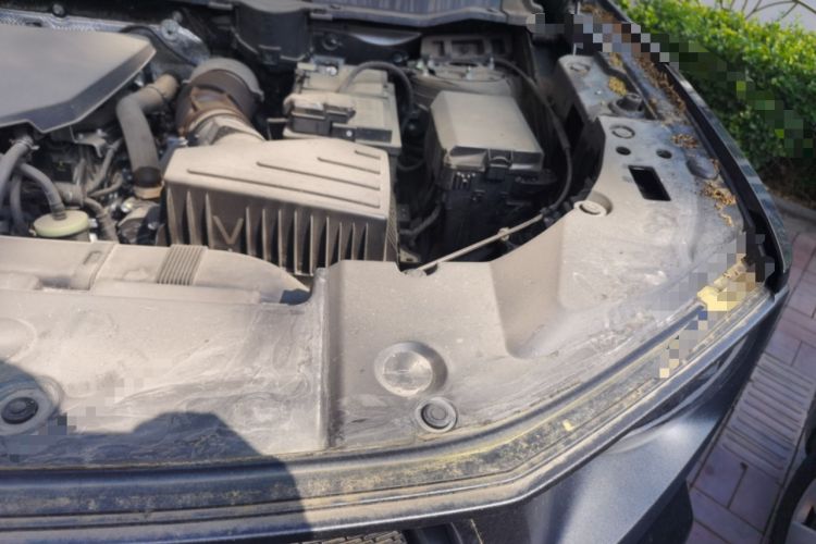 Used Haval H Dog 2023 2.0T All-Wheel-Drive Chaoye Plus Engine Bay Left
