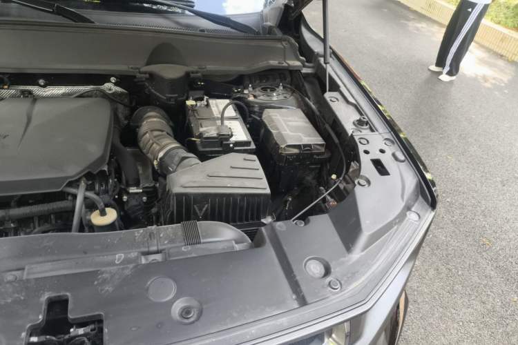 Used Haval H Dog 2023 2.0T Two-Wheel Drive Chaoye Version Plus Engine Bay Left