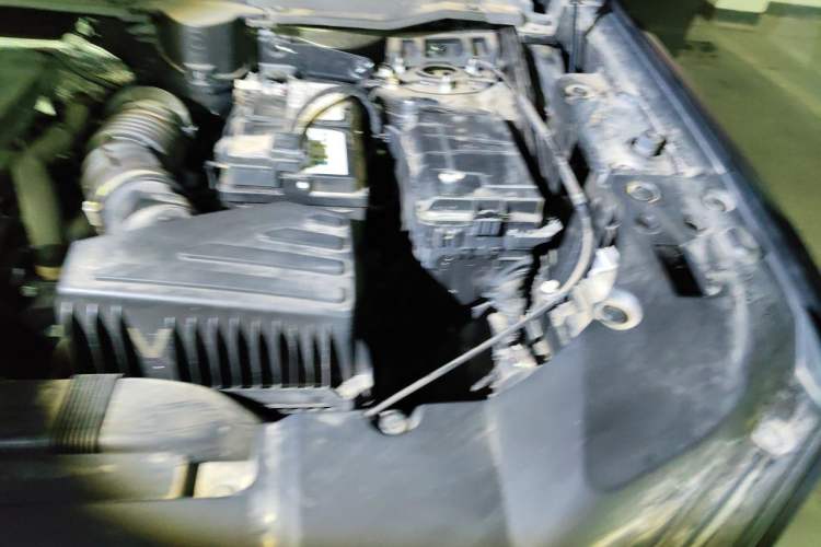Used Haval H Dog 2023 2.0T Two-Wheel Drive Chaoye Version Plus Engine Bay Left