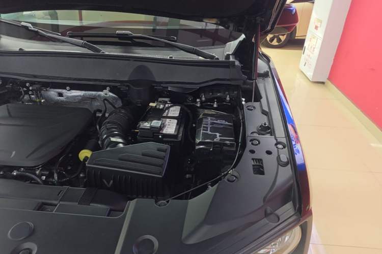 Used Haval H Dog 2023 1.5T Two-Wheel Drive Chao Ye Version Plus Engine Bay Left