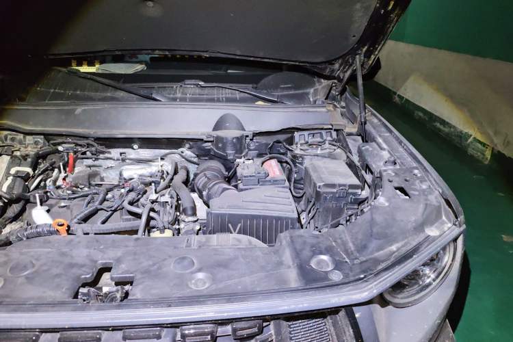 Used Haval H Dog 2023 2.0T Two-Wheel Drive Chaoye Version Plus Engine Bay Left