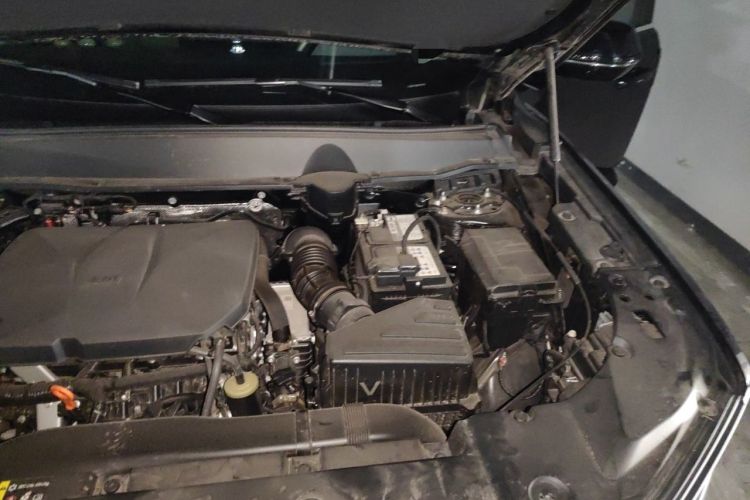 Used Haval H Dog 2023 2.0T Two-Wheel Drive Chaoye Version Plus Engine Bay Left