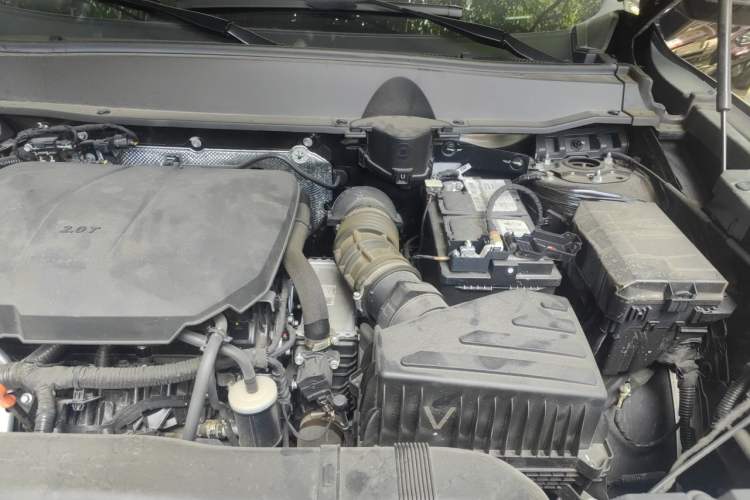 Used Haval H Dog 2023 2.0T Two-Wheel Drive Chaoye Version Plus Engine Bay Left