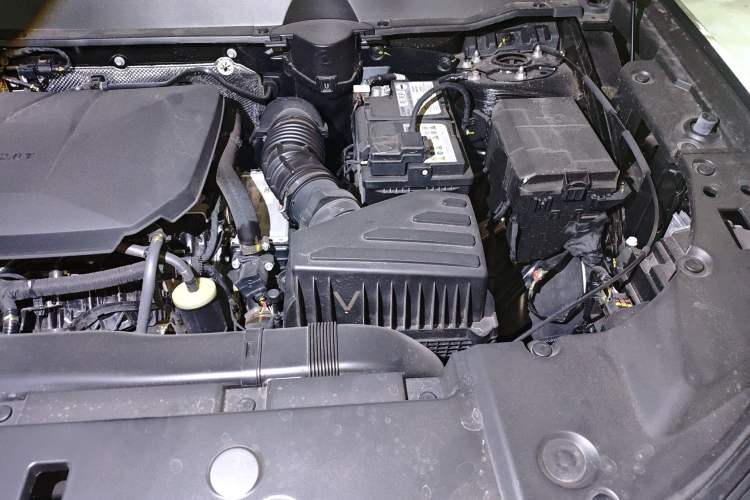 Used Haval H Dog 2023 2.0T Two-Wheel Drive Chaoye Version Plus Engine Bay Left