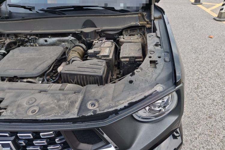Used Haval H Dog 2023 1.5T Two-Wheel Drive Chao Ye Version Plus Engine Bay Left