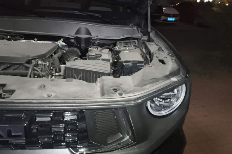 Used Haval H Dog 2023 2.0T Two-Wheel Drive Chaoye Version Plus Engine Bay Left