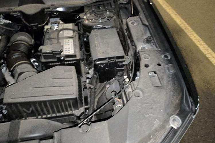 Used Haval H Dog 2023 2.0T Two-Wheel Drive Chaoye Version Plus Engine Bay Left