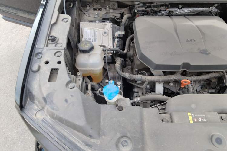 Used Haval H Dog 2023 2.0T Two-Wheel Drive Trendy Outdoor Edition Engine Bay Right