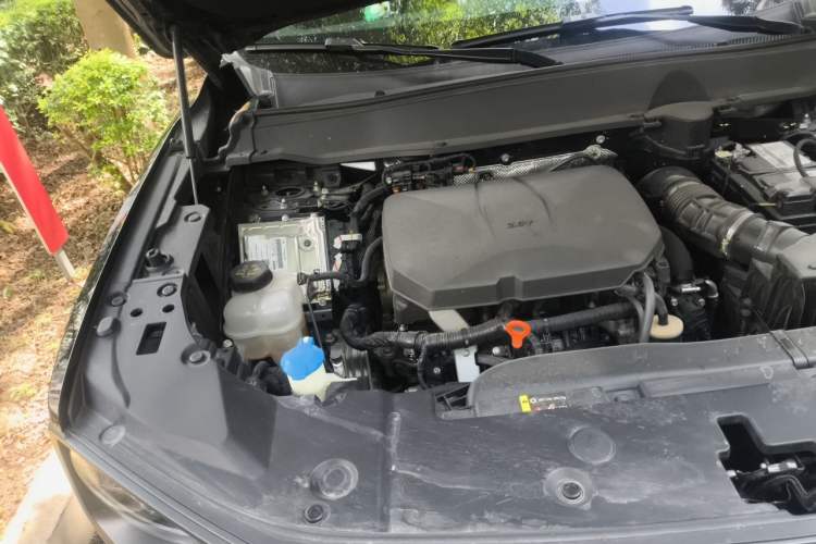 Used Haval H Dog 2023 2.0T Two-Wheel Drive Chaoye Version Plus Engine Bay Right