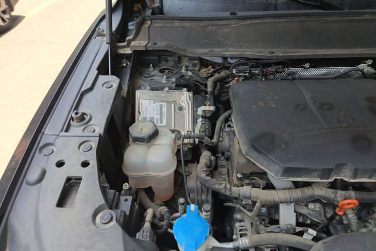 Used Haval H Dog 2023 2.0T Two-Wheel Drive Chaoye Version Plus Engine Bay Right