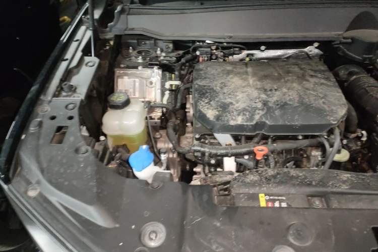 Used Haval H Dog 2023 2.0T All-Wheel-Drive Chaoye Plus Engine Bay Right
