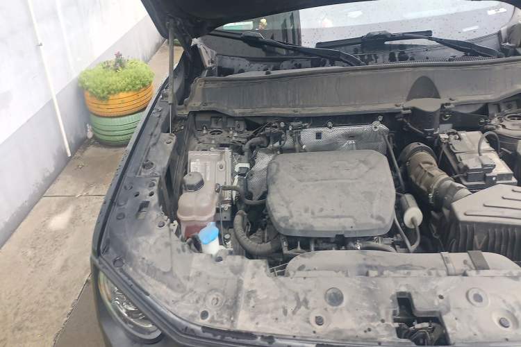 Used Haval H Dog 2023 1.5T Two-Wheel Drive Chao Ye Version Plus Engine Bay Right