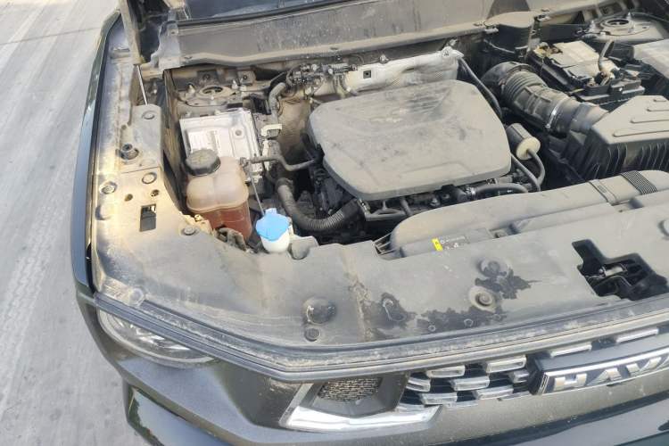 Used Haval H Dog 2023 1.5T Two-Wheel Drive Chao Ye Version Plus Engine Bay Right
