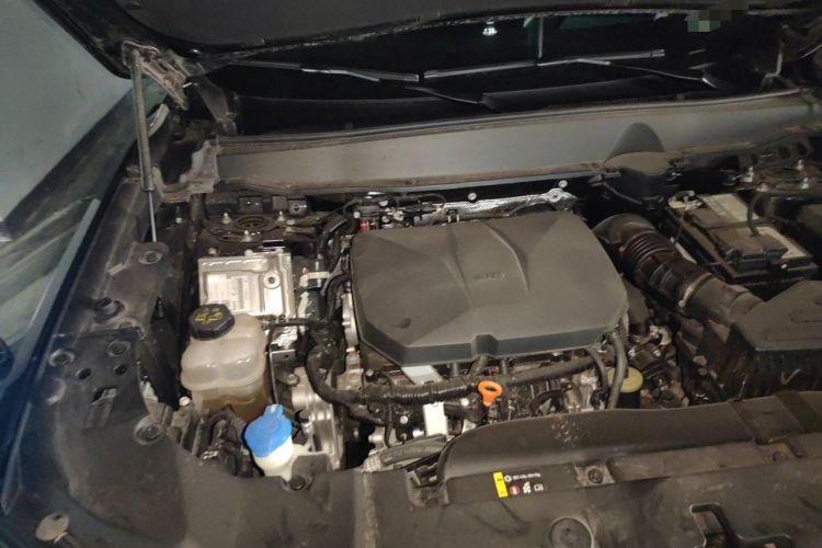 Used Haval H Dog 2023 2.0T Two-Wheel Drive Chaoye Version Plus Engine Bay Right