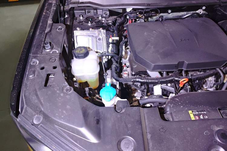 Used Haval H Dog 2023 2.0T Two-Wheel Drive Chaoye Version Plus Engine Bay Right
