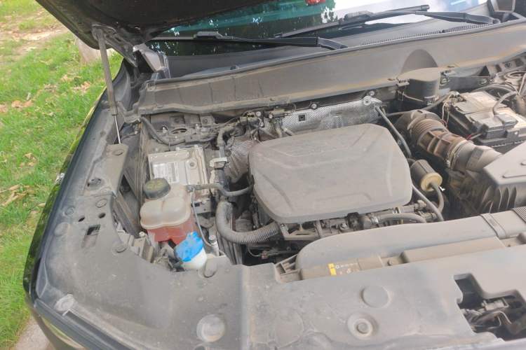 Used Haval H Dog 2023 1.5T Two-Wheel Drive Chao Ye Version Plus Engine Bay Right