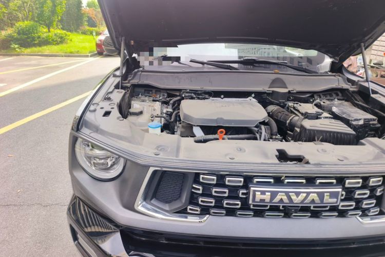 Used Haval H Dog 2023 2.0T Two-Wheel Drive Chaoye Version Plus Engine Bay Right