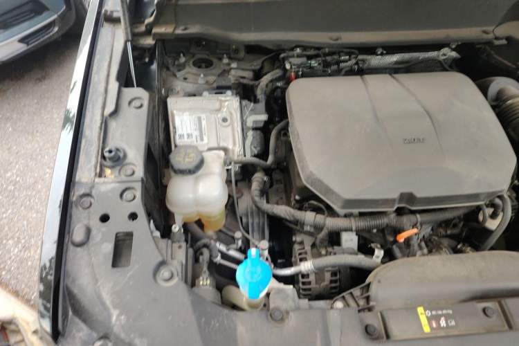 Used Haval H Dog 2023 2.0T All-Wheel-Drive Chaoye Plus Engine Bay Right