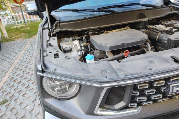 Used Haval H Dog 2023 2.0T All-Wheel-Drive Chaoye Plus Engine Bay Right
