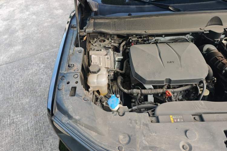 Used Haval H Dog 2023 2.0T Two-Wheel Drive Chaoye Version Plus Engine Bay Right