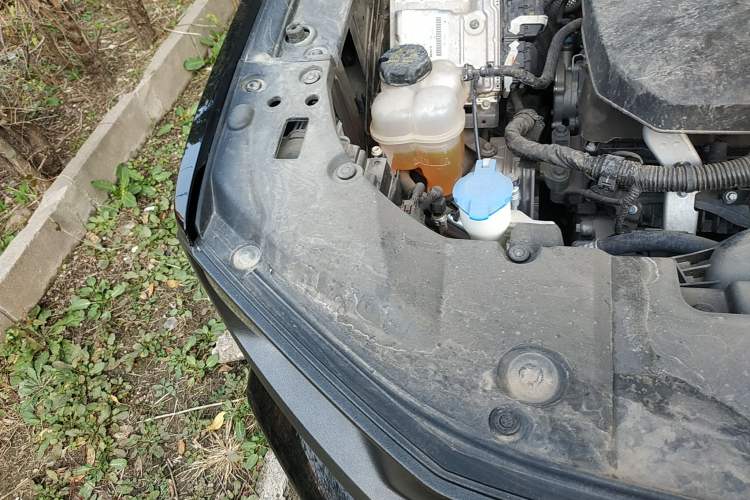 Used Haval H Dog 2023 2.0T Two-Wheel Drive Chaoye Version Plus Engine Bay Right