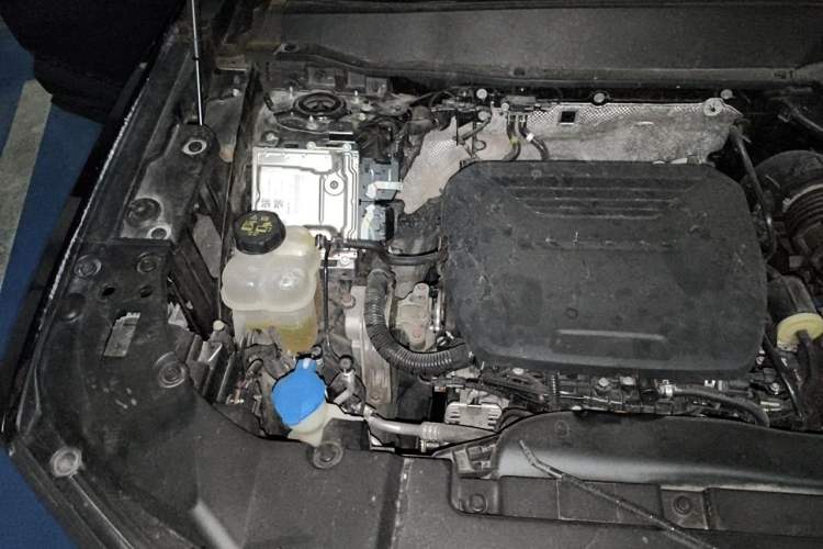 Used Haval H Dog 2023 1.5T Two-Wheel Drive Chao Ye Version Plus Engine Bay Right