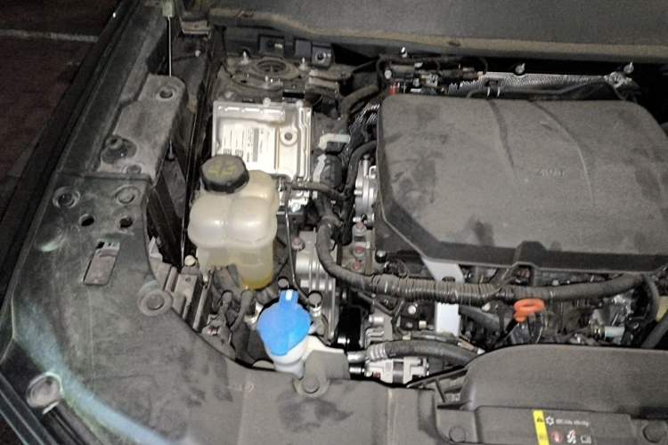 Used Haval H Dog 2023 2.0T Two-Wheel Drive Chaoye Version Plus Engine Bay Right