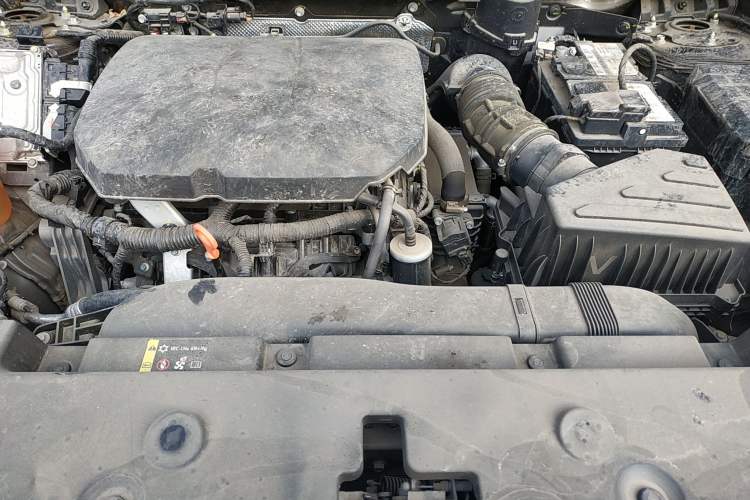 Used Haval H Dog 2023 2.0T Two-Wheel Drive Chaoye Version Plus Engine Bay