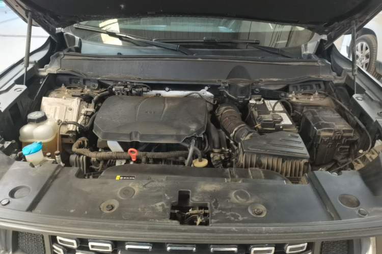 Used Haval H Dog 2023 2.0T All-Wheel-Drive Chaoye Plus Engine Bay