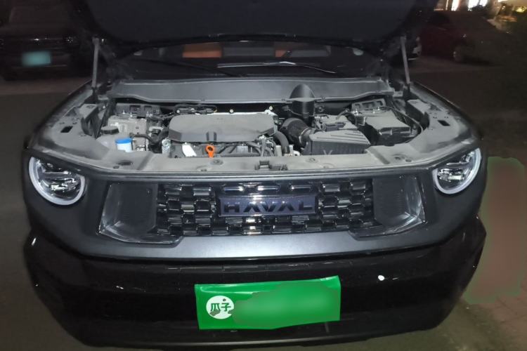 Used Haval H Dog 2023 2.0T Two-Wheel Drive Chaoye Version Plus Engine Bay