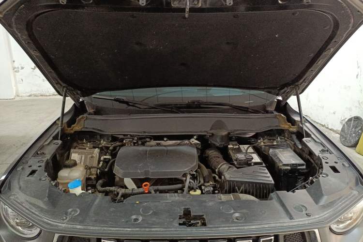 Used Haval H Dog 2023 2.0T All-Wheel-Drive Chaoye Plus Engine Bay