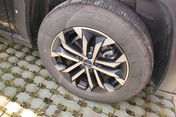 Used Haval H Dog 2023 1.5T Two-Wheel Drive Chao Ye Version Plus Exterior 1