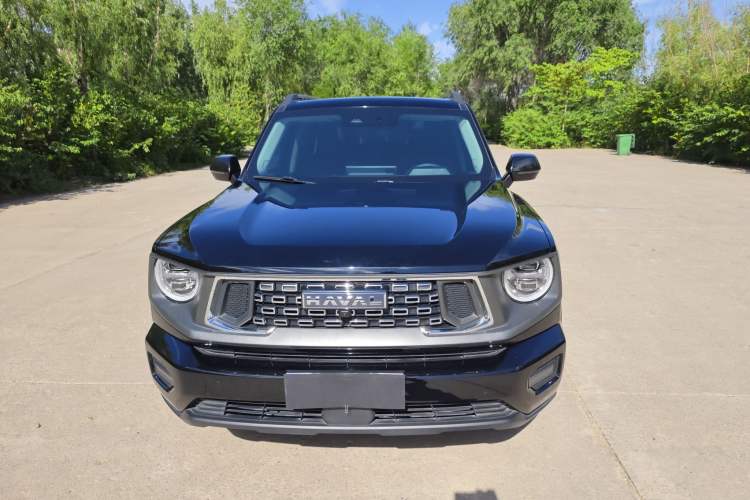 Used Haval H Dog 2023 2.0T Two-Wheel Drive Chaoye Version Plus Exterior 1
