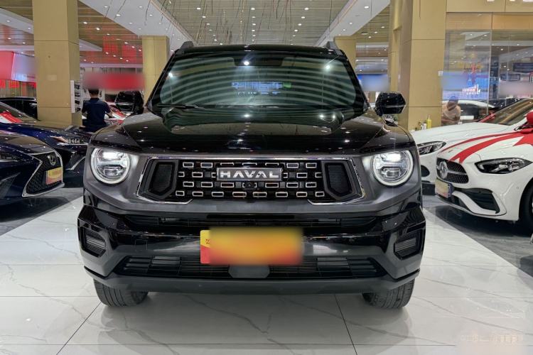 Used Haval H Dog 2023 2.0T Two-Wheel Drive Chaoye Version Plus Exterior 1