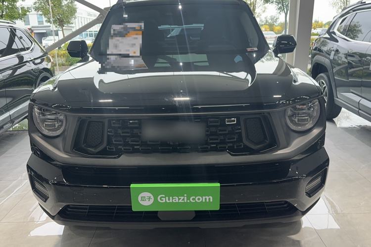 Used Haval H Dog 2023 2.0T Two-Wheel Drive Chaoye Version Plus Exterior 1