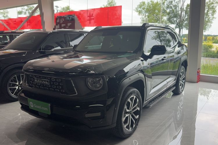 Used Haval H Dog 2023 1.5T Two-Wheel Drive Chao Ye Version Plus Exterior 2