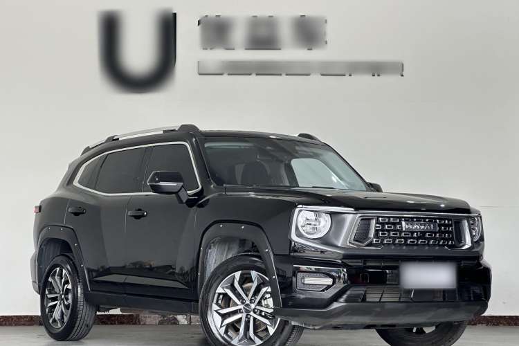 Used Haval H Dog 2023 1.5T Two-Wheel Drive Chao Ye Version Plus Exterior 2